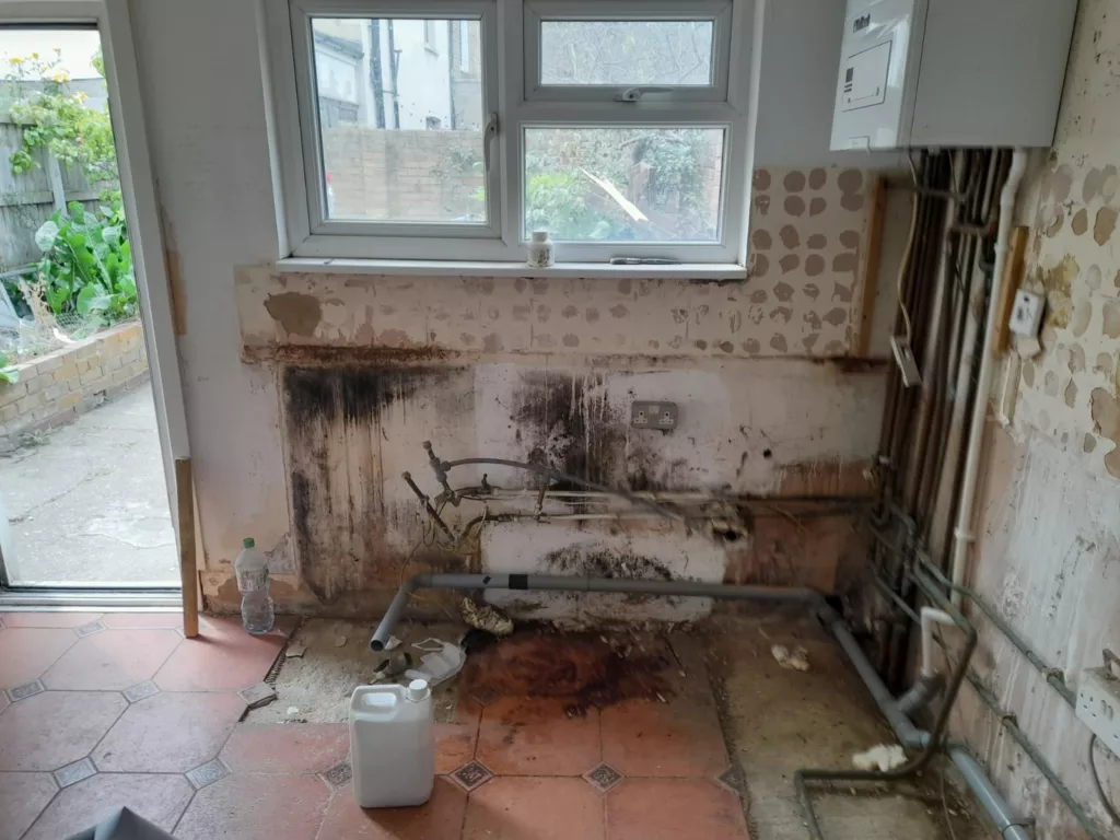 Black mould behind kitchen appliances in a house