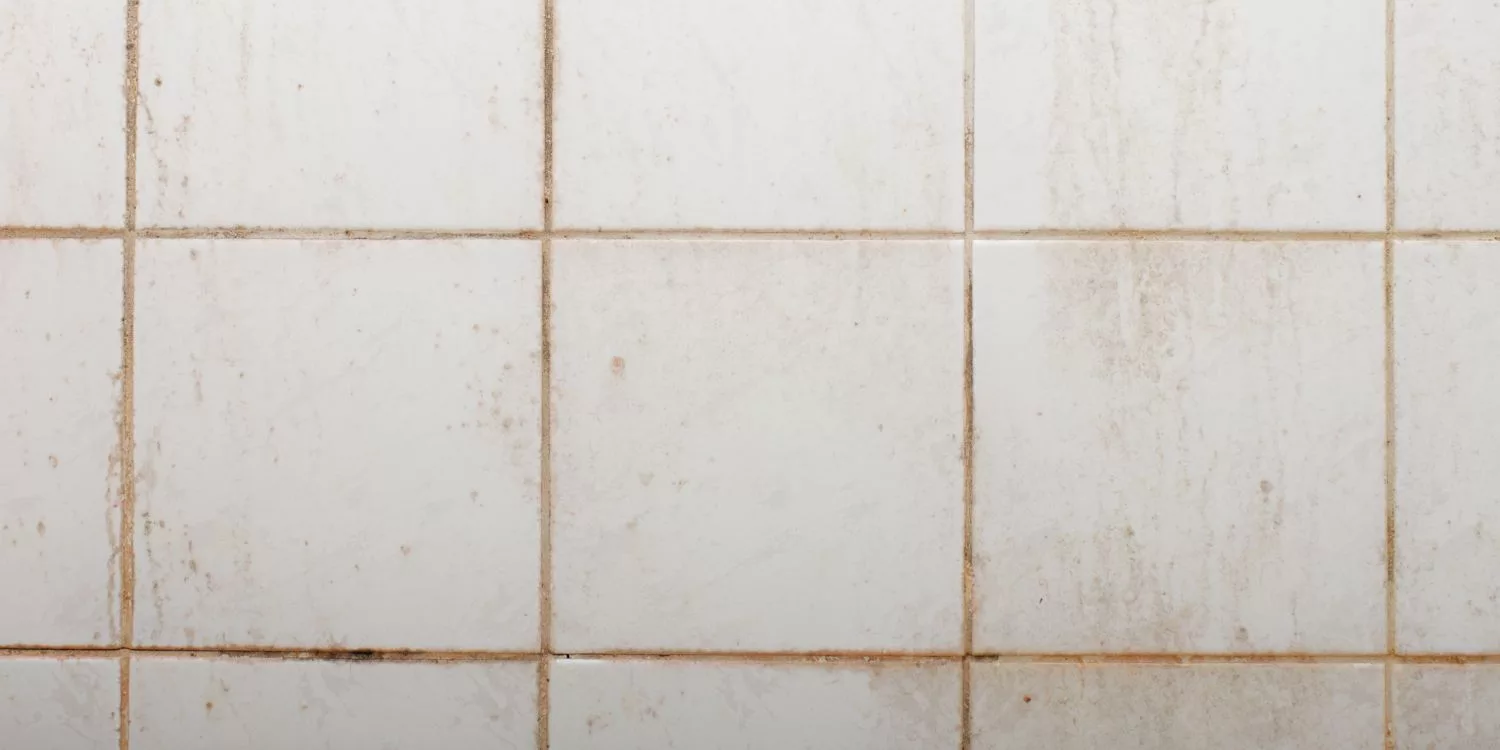 how-to-clean-mould-from-your-shower