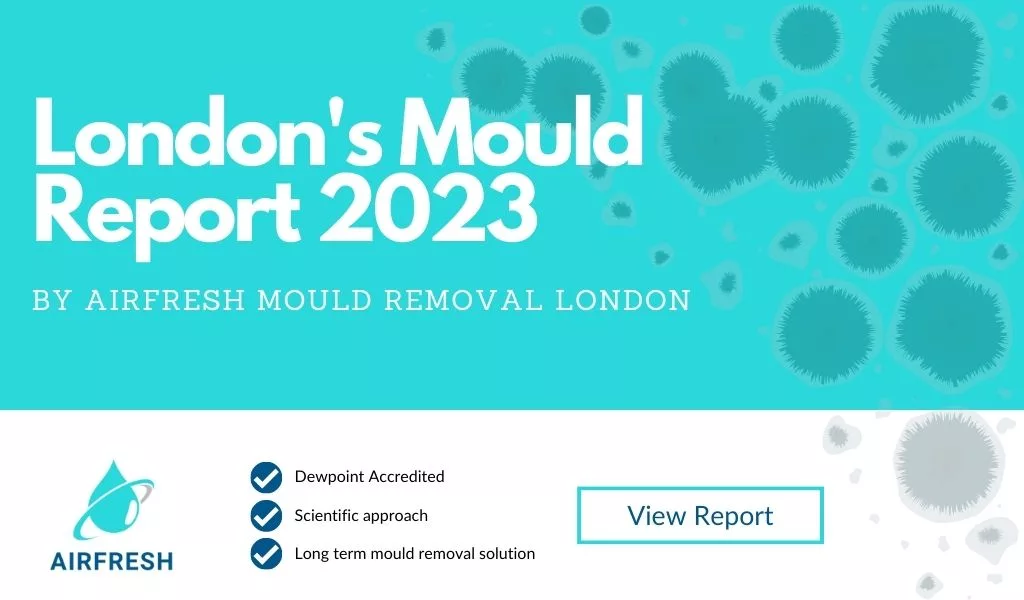 London mould statistics 2023