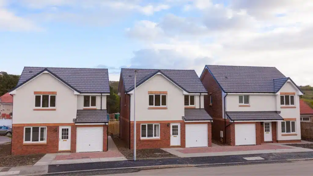 new build homes in the UK with mould