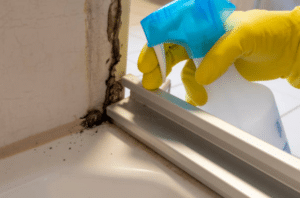Addressing Mould and Dampness with Mould Removal London