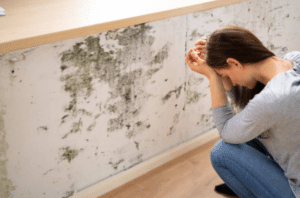 Impact of Mould on Mental Health