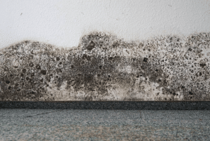 Overview of Current Mould Policy in the UK