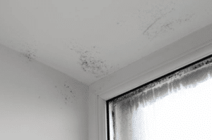 Understanding the causes of mould