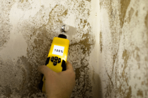Why Call For Professional Mould Cleaning Services