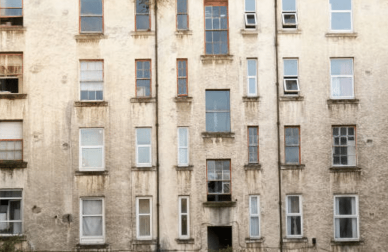 Council's Responsibility: Addressing Mould in Social Housing
