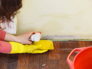 Dangers of DIY Mould Removal