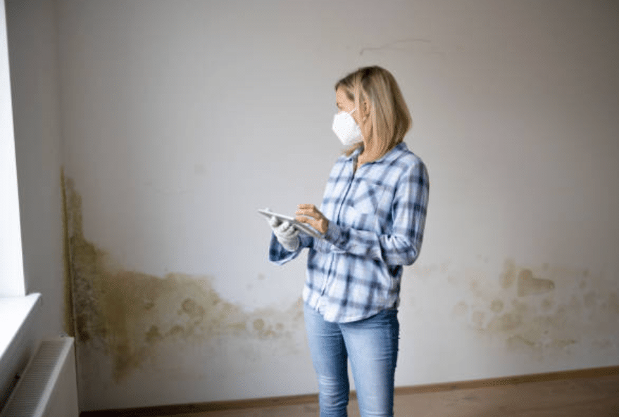 How Mould Affects Work in UK: Employee Health and Efficiency