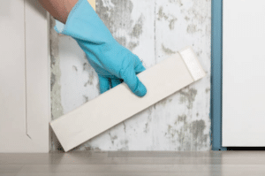 Implementing Effective Mould Prevention Strategies in Warehouses