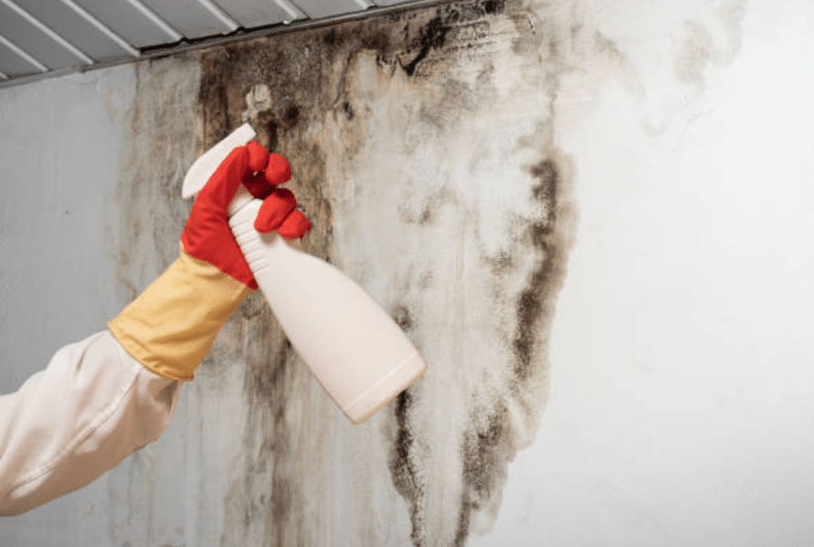 Managing Humidity in Retail Shops: UK Tips to Prevent Mould Growth