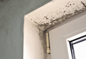 Steps for Maintenance and Mould Prevention