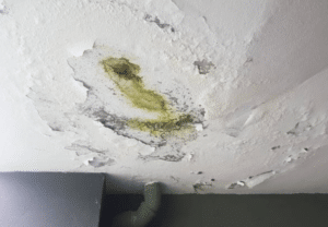 Techniques for Mould Growth Control