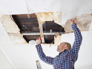 The Value of Professional Mould Inspection