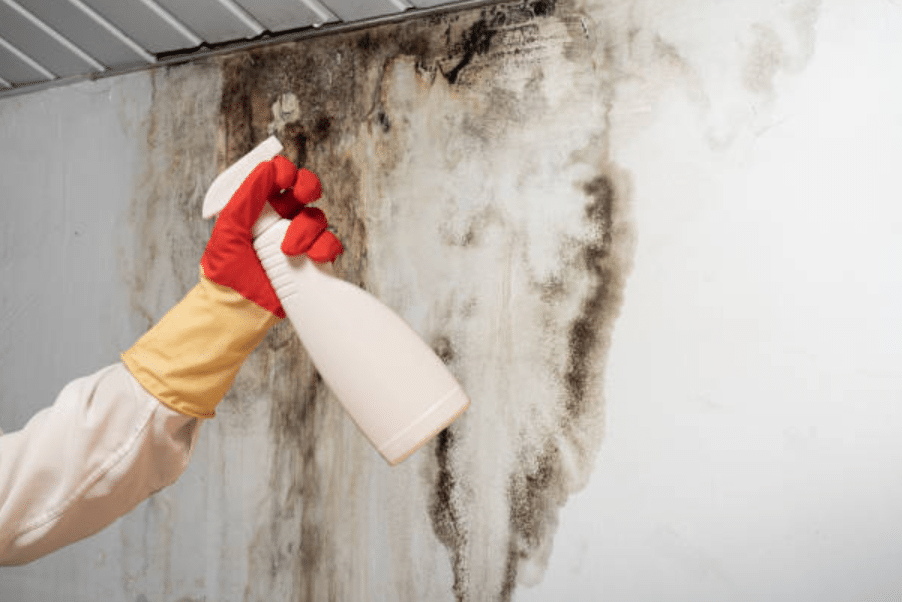 True Cost Of Mould In Commercial Premises In The UK