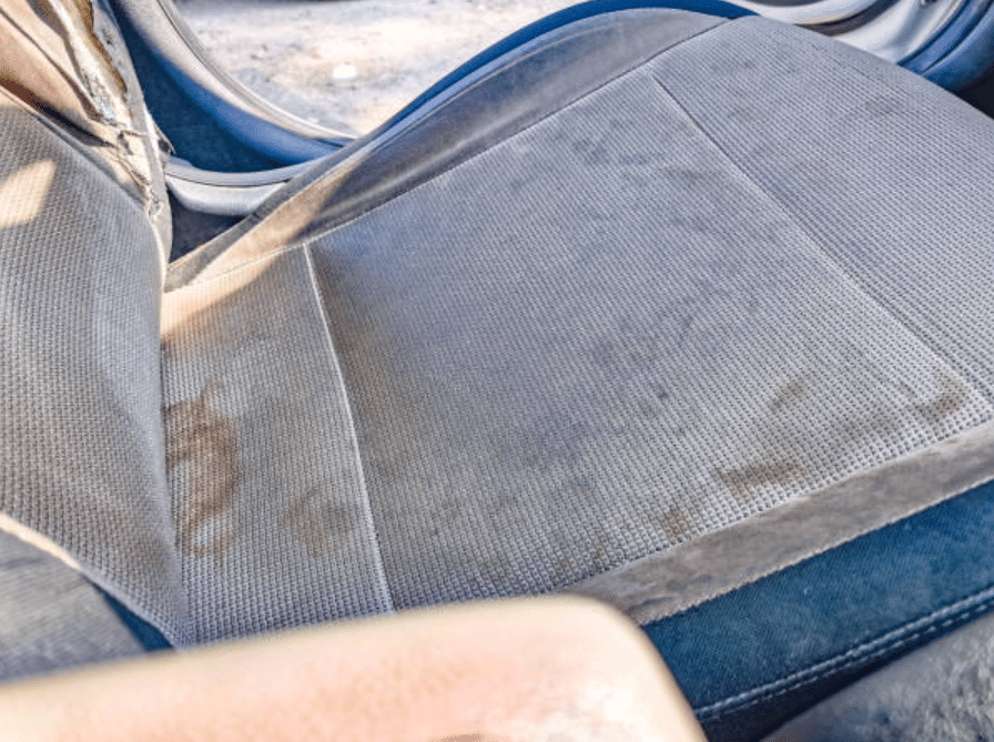 Financial Implications: Depreciation in Car Value Due to Mould Infestation