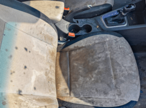 Health Risks and Effects of Car Mould Growth