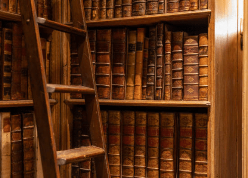 Mould in Libraries: Preserving Books and Ensuring Health Safety