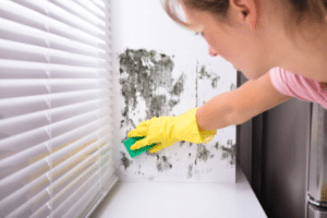 Preventive Measures for Mould Growth and Health Risks