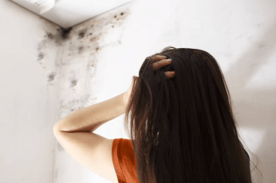 The Relationship Between Mould and Allergies: What You Need to Know