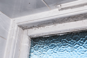 Tips To Mould Proof Your Home Whatever The Season