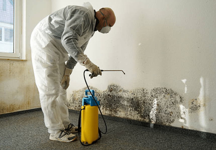 Does Mould in Properties Have A Smell?