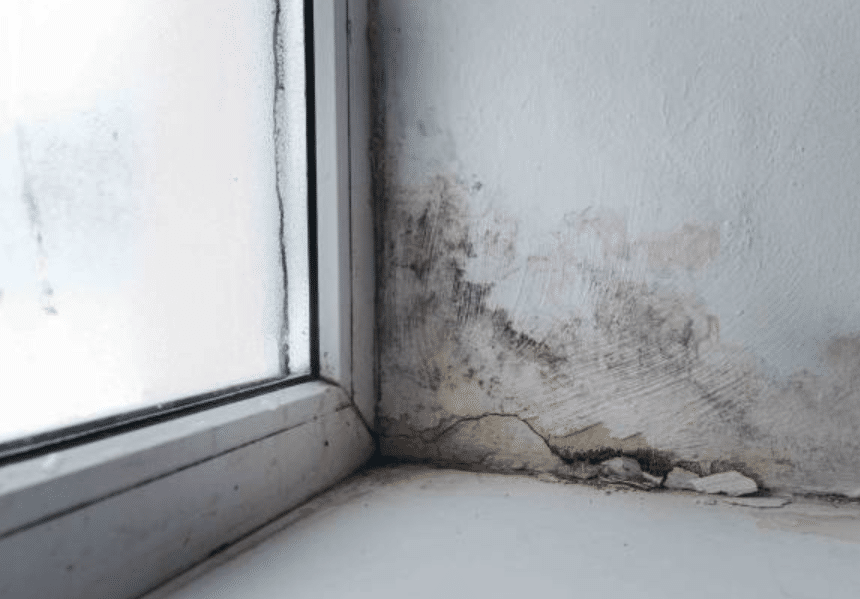 How Climate Change Could Impact Mould Growth in the UK