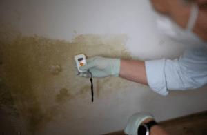 Mould in Construction: Risks and Detection