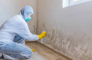 Natural Remedies for Mould Removal: Pros and Cons
